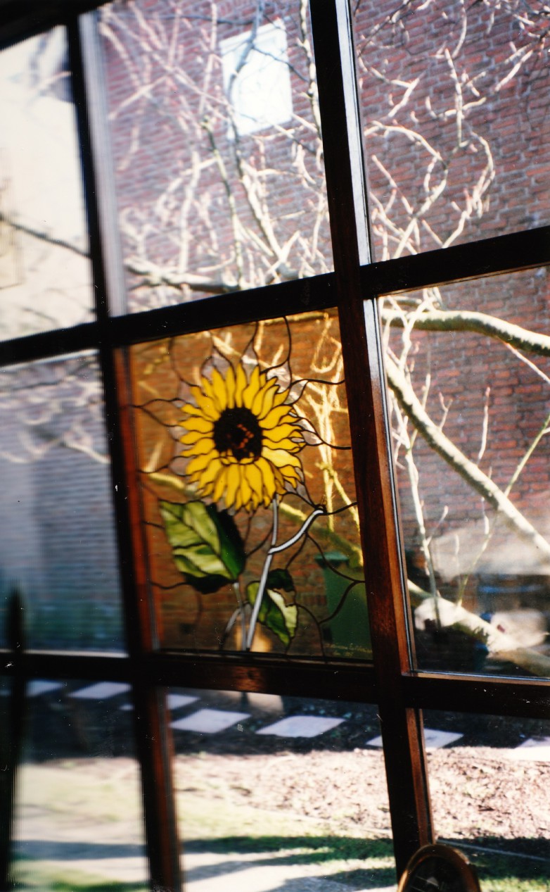 Glaspaneel - zonnebloem en vlieg